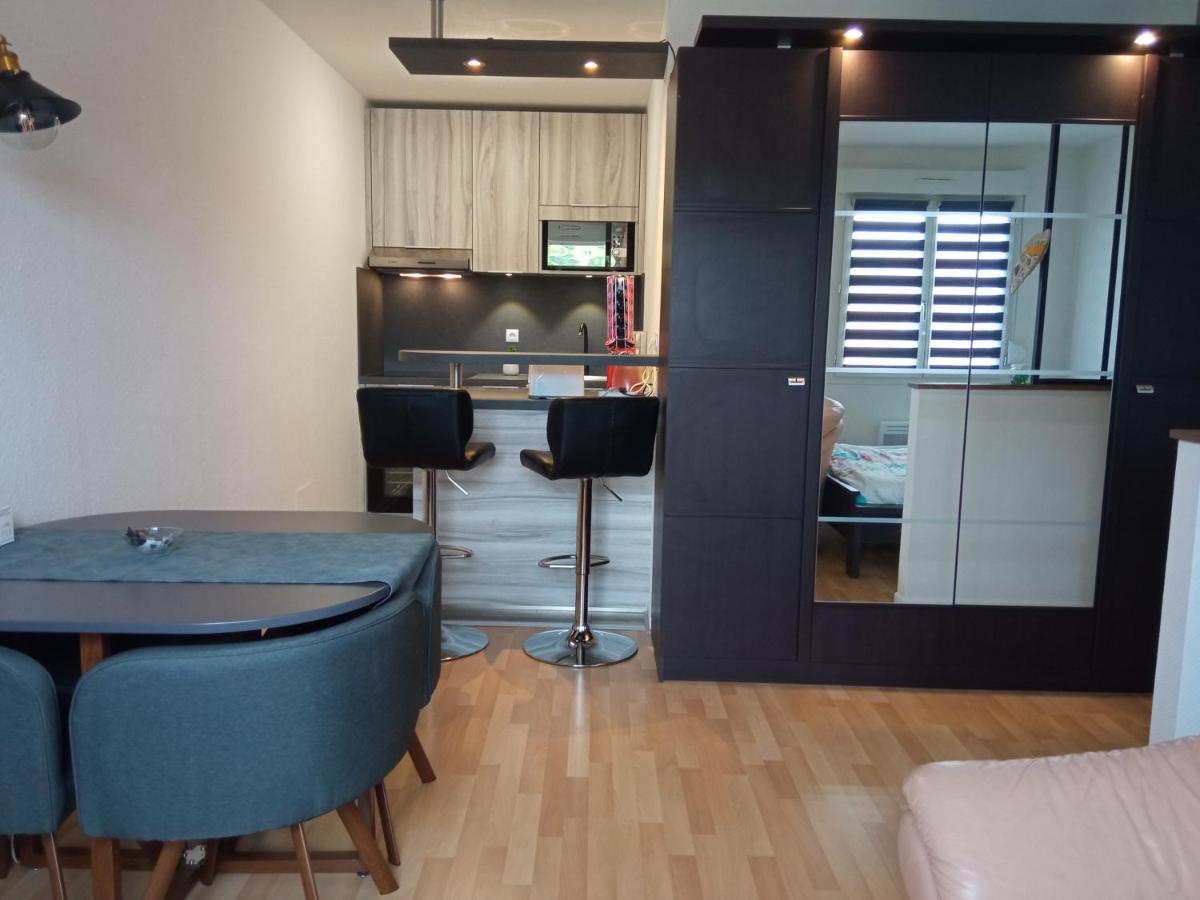 Charmant Studio Classe 3 Etoiles Au Coeur De Niederbronn-Les-Bains Dış mekan fotoğraf
